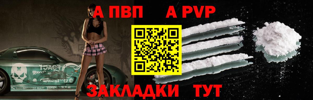 Alfa_PVP СК Норильск