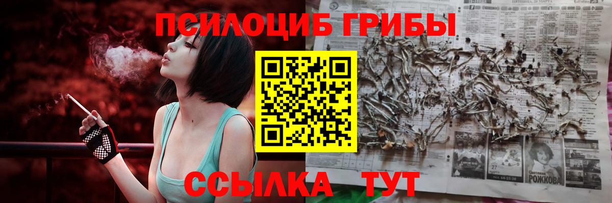 Галлюциногенные грибы GOLDEN TEACHER Норильск